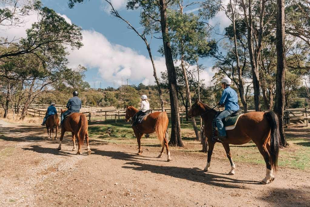 Country Club Tasmania Hotell Launceston Eksteriør bilde