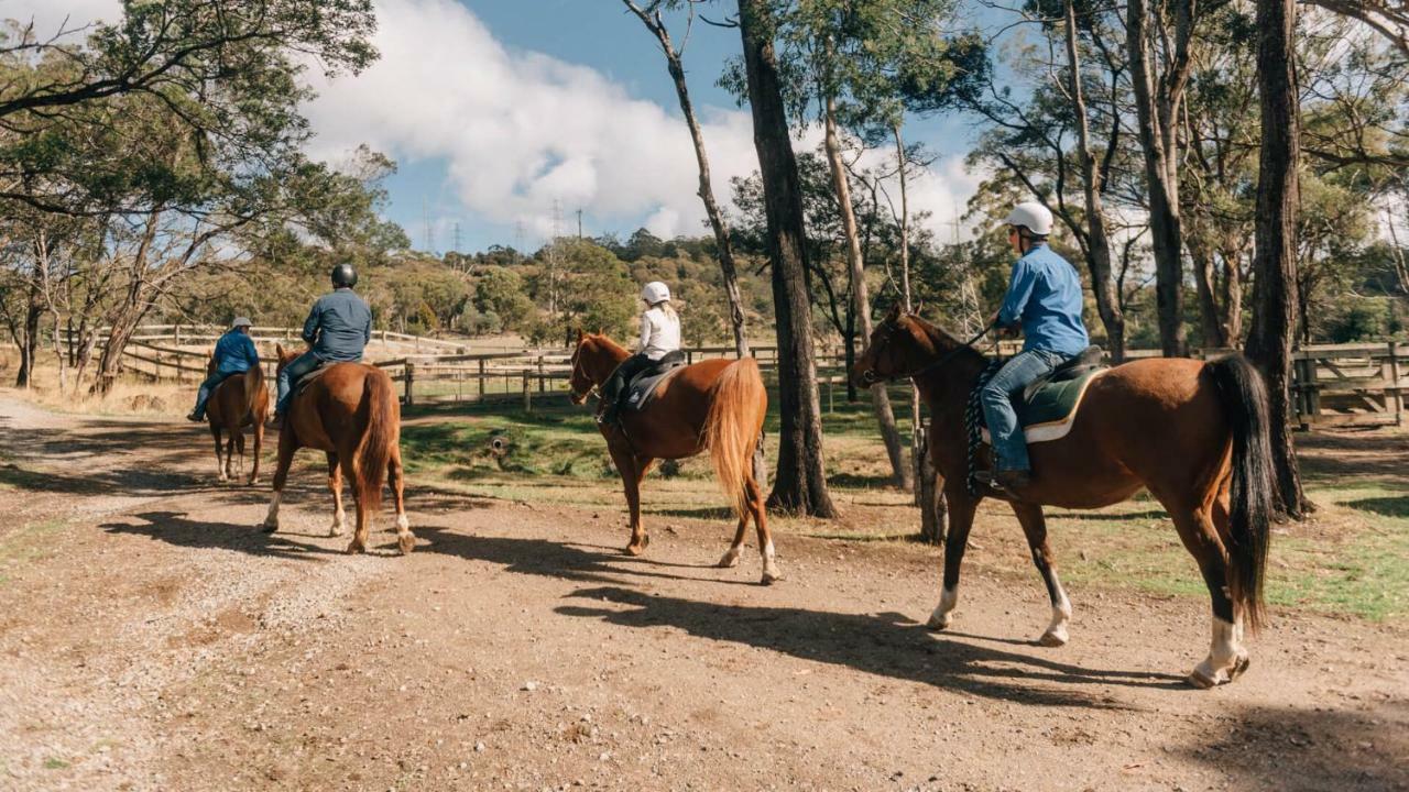 Country Club Tasmania Hotell Launceston Eksteriør bilde